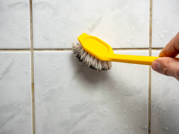 Water Damage Restoration in Almedia, PA