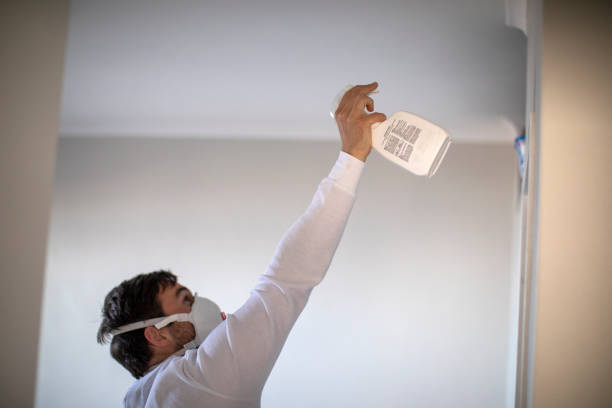 Best Office Mold Removal Services  in Almedia, PA