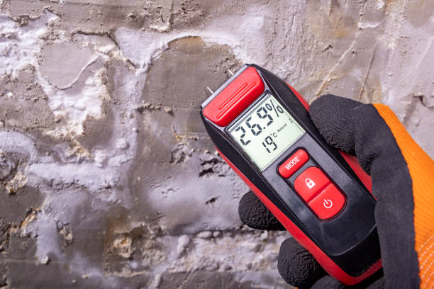Best Affordable Mold Removal  in Almedia, PA