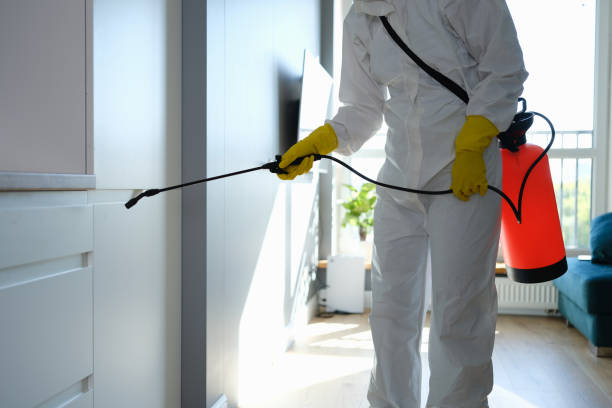Almedia, PA Mold Removal Company