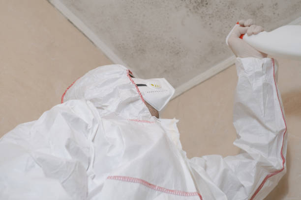 Best Commercial Mold Removal  in Almedia, PA